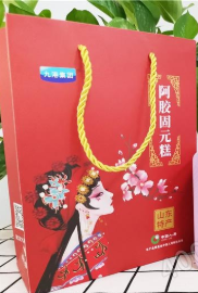 武漢九港生物技術有限公司