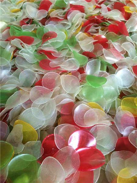 廊坊市安次區(qū)碼頭鎮(zhèn)樹(shù)金食品廠