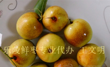 樂陵市明潤金絲小棗購銷處